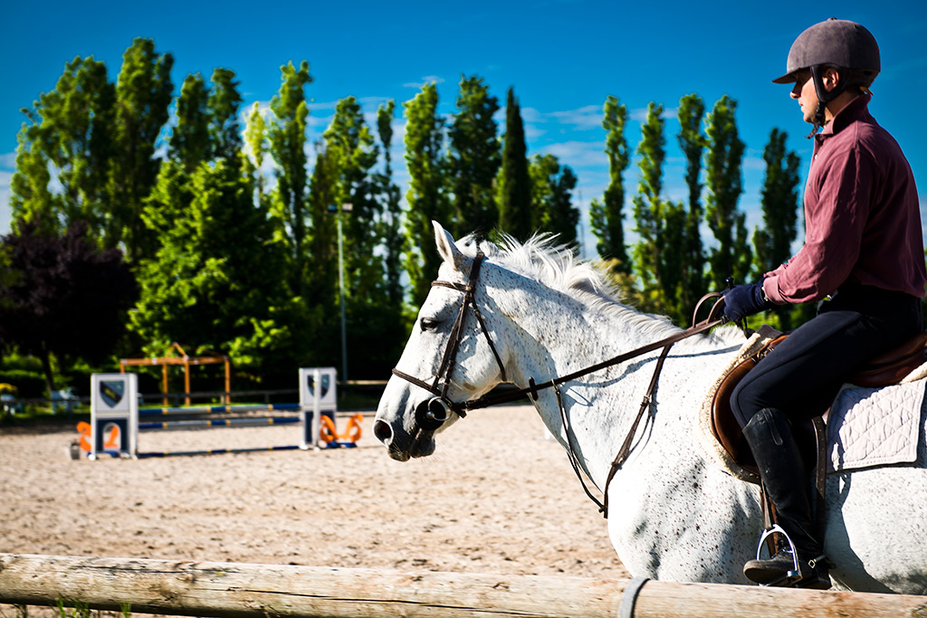scuola equitazione roma fotogallery