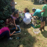 Campus Circolo Ippico Tor Carbone 2014
