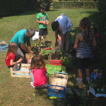 Campus Circolo Ippico Tor Carbone 2014